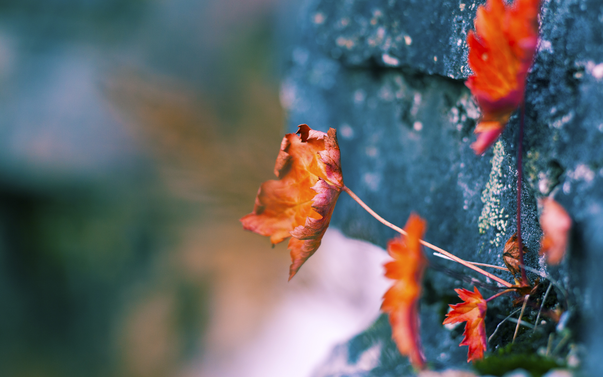 钢铁城墙,从伯纳乌到深圳体育馆的防守哲学