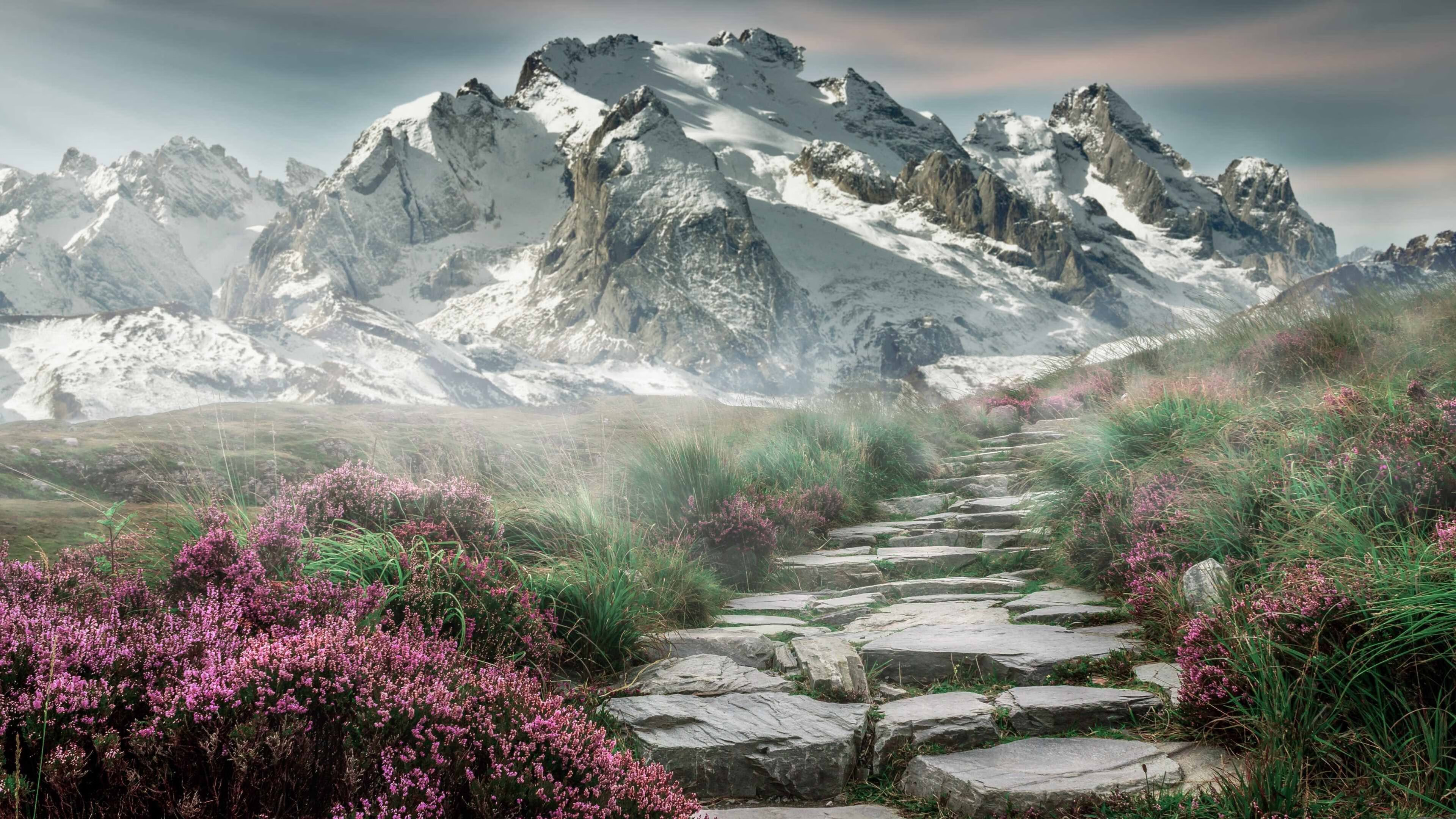 开云体育中国-隔空对决，杰伦格林56分引爆NBA，开拓者114分重击上海队