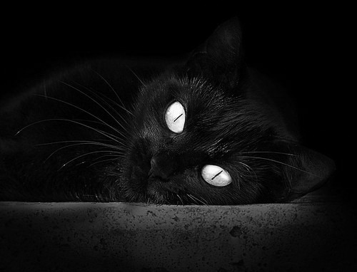 灯光熄灭时，他才是球场上唯一的光，北京队坚韧绝杀，切特王座加冕于浙江夜幕