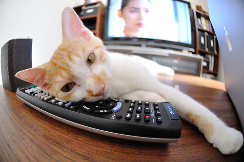 迪马利亚展翅定乾坤，阿根廷友谊赛击穿洪都拉斯防线