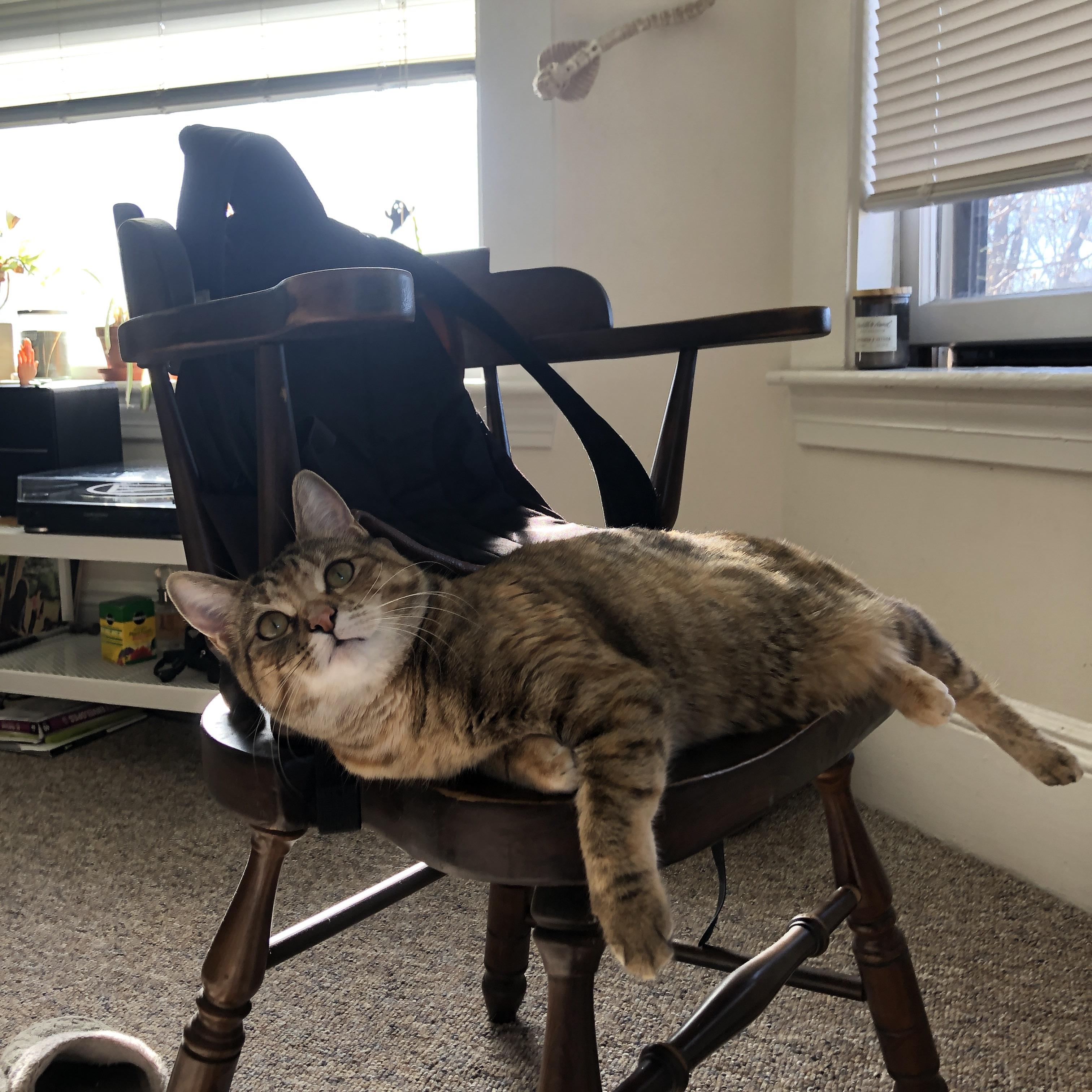 新王登基！马丁内利单骑救主，几内亚粉碎希腊神话震撼美加墨