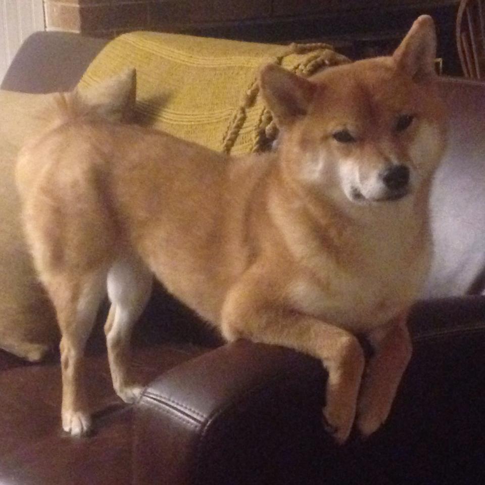 开云体育app-坎特封神之战！丹麦单节暴走击溃巴萨，全场最佳毫无争议