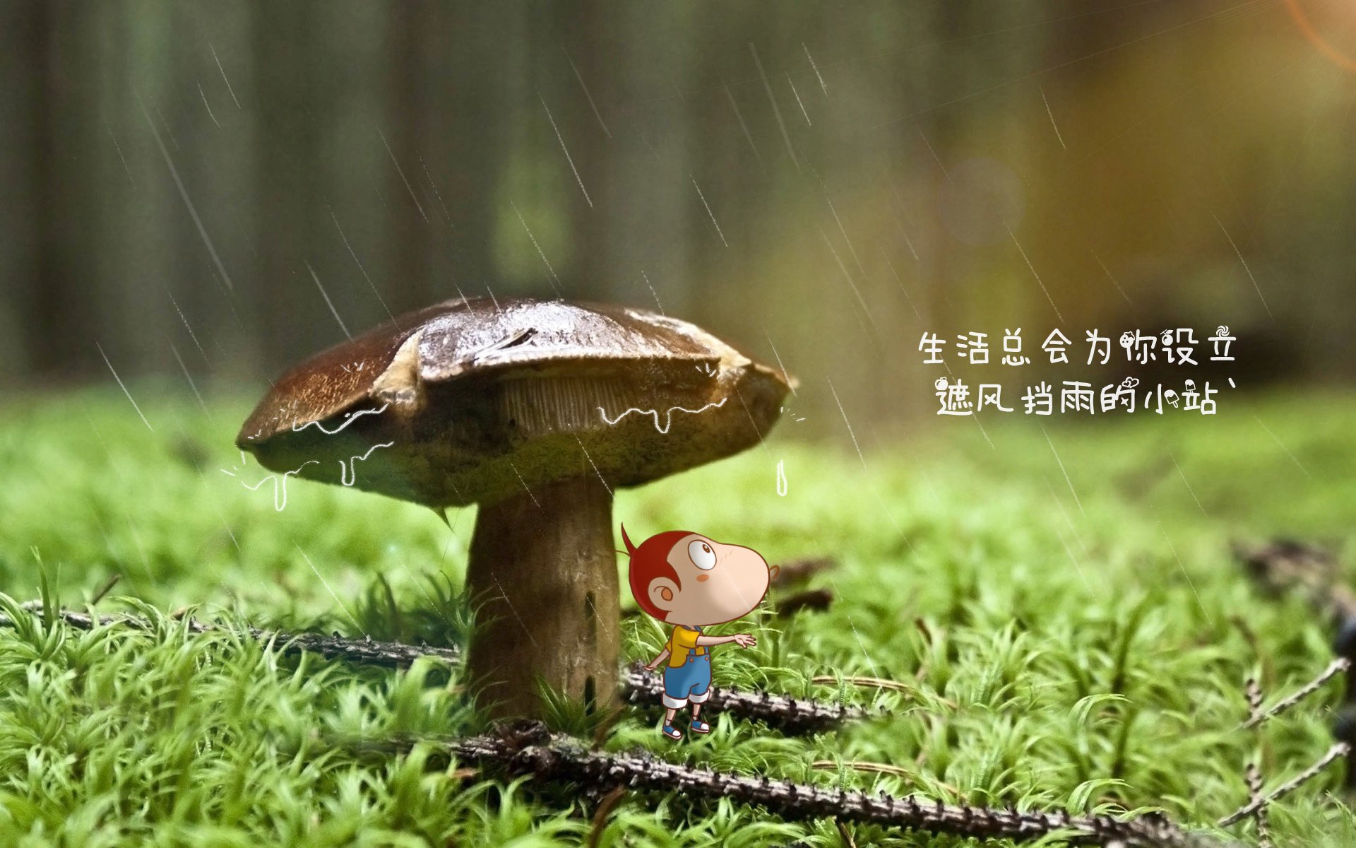 历史性冷门斩杀,德国战车在C组用精密仪器碾压秘鲁,坎塞洛化身边路幽灵重写世界杯剧本