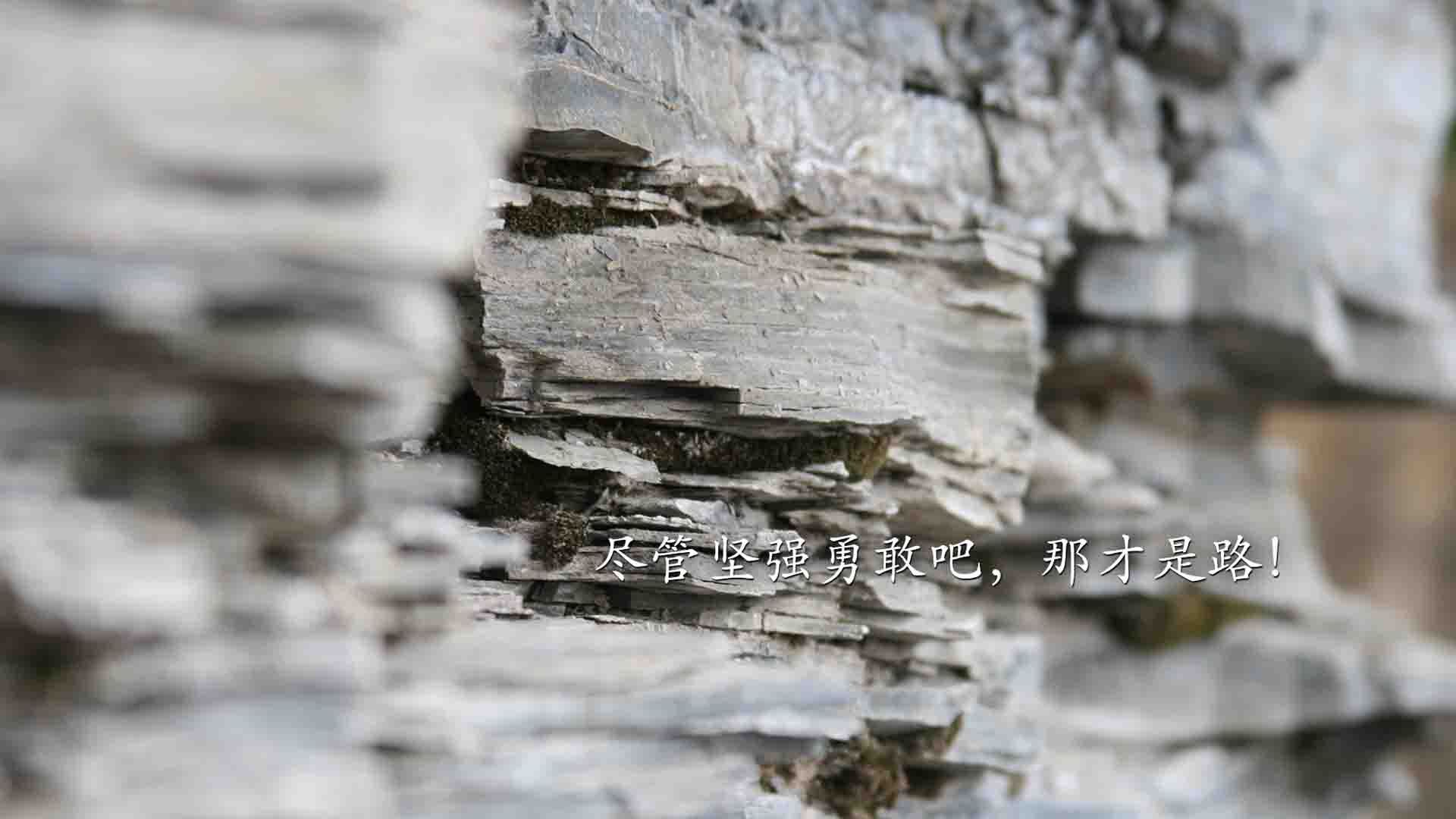 剧本不敢这么写!凯恩逆转乾坤,意大利读秒绝杀,同一夜,两种写就的头名史诗