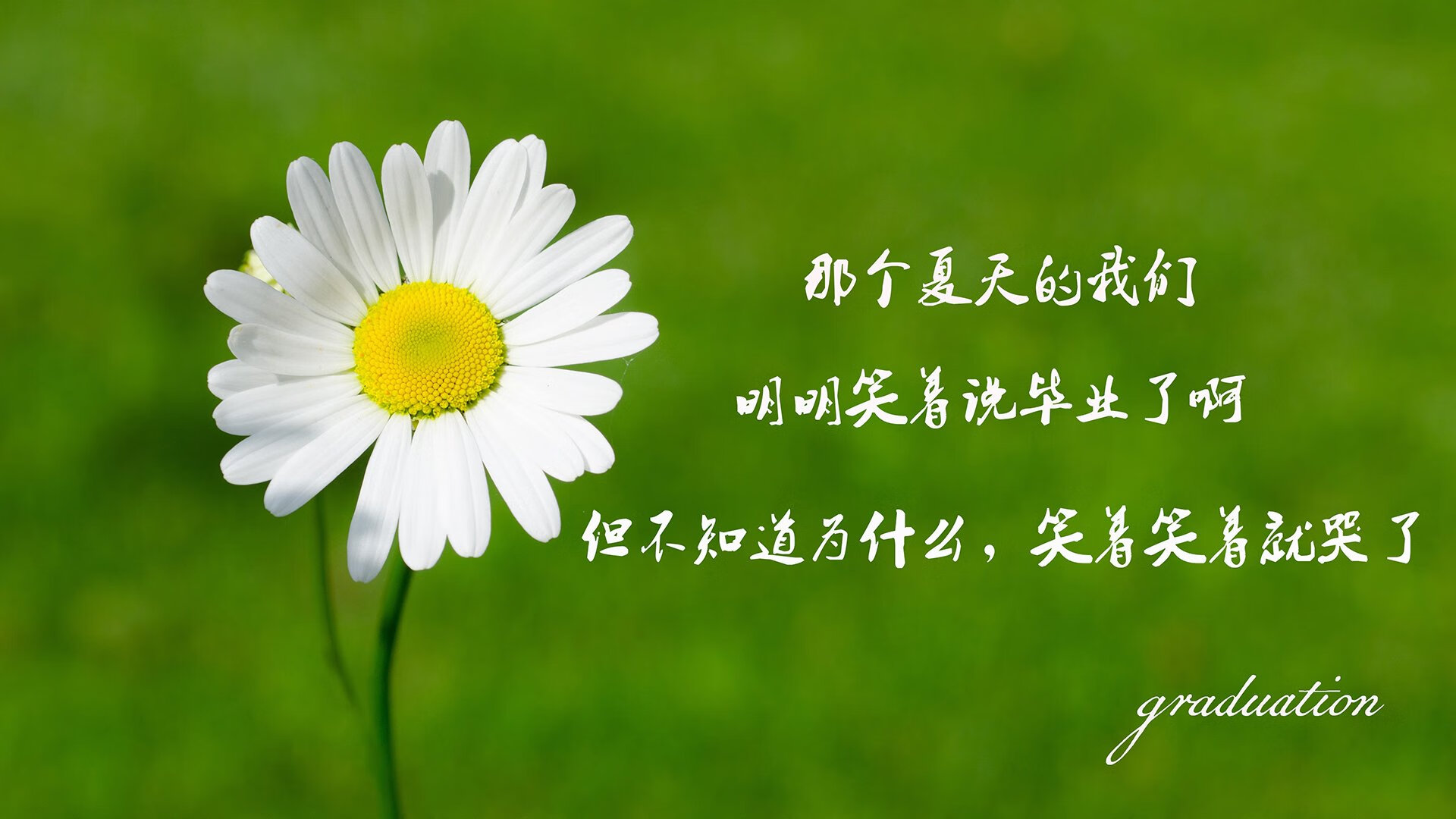开云体育-斗牛士的铁蹄与潘帕斯之王的绝唱，2026世界杯D组，一场碾压与新王登基的叙事交响
